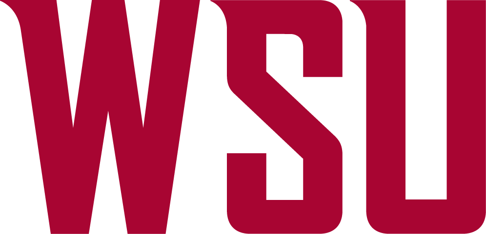 Washington State Cougars 2011-Pres Wordmark Logo v2 iron on transfers for T-shirts